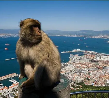 Lejlighed Paseo Maritimo De